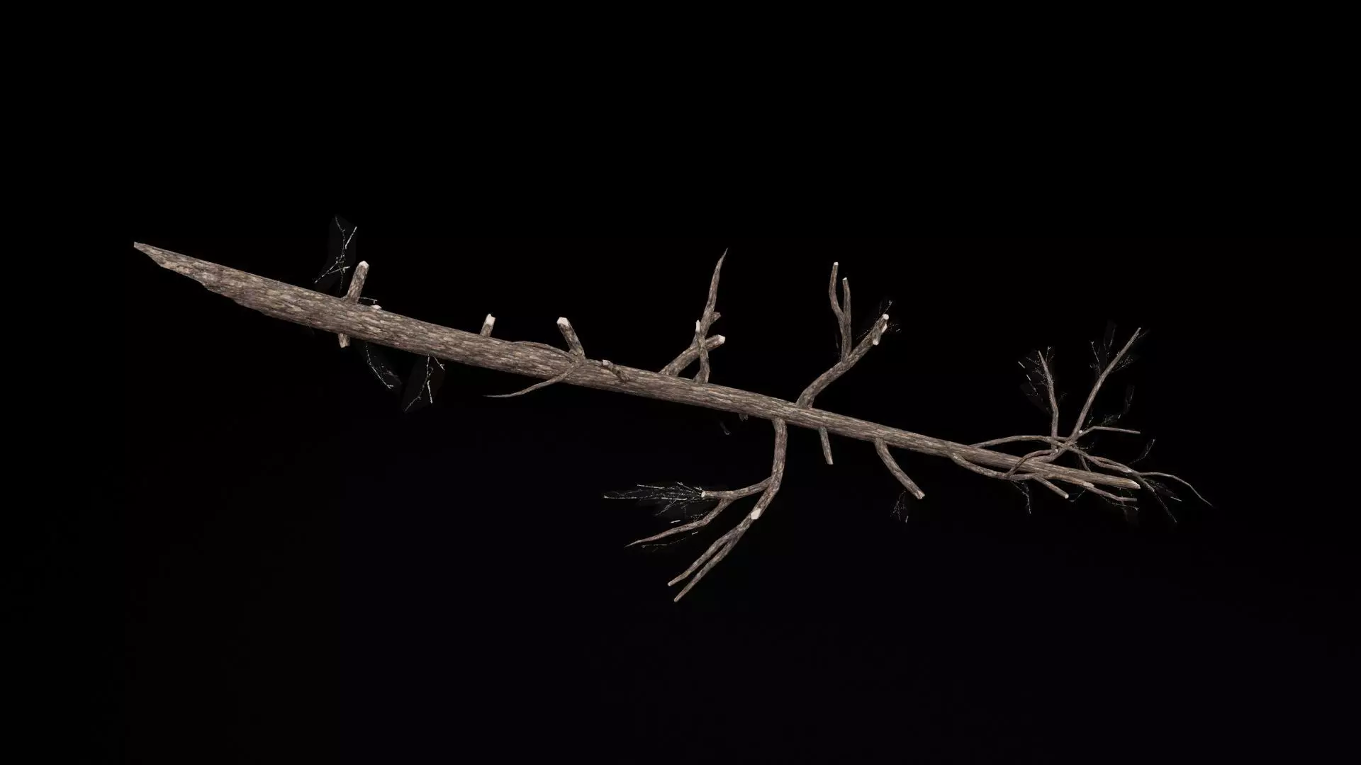Realistic Tree Branch Low-poly 3D model_6