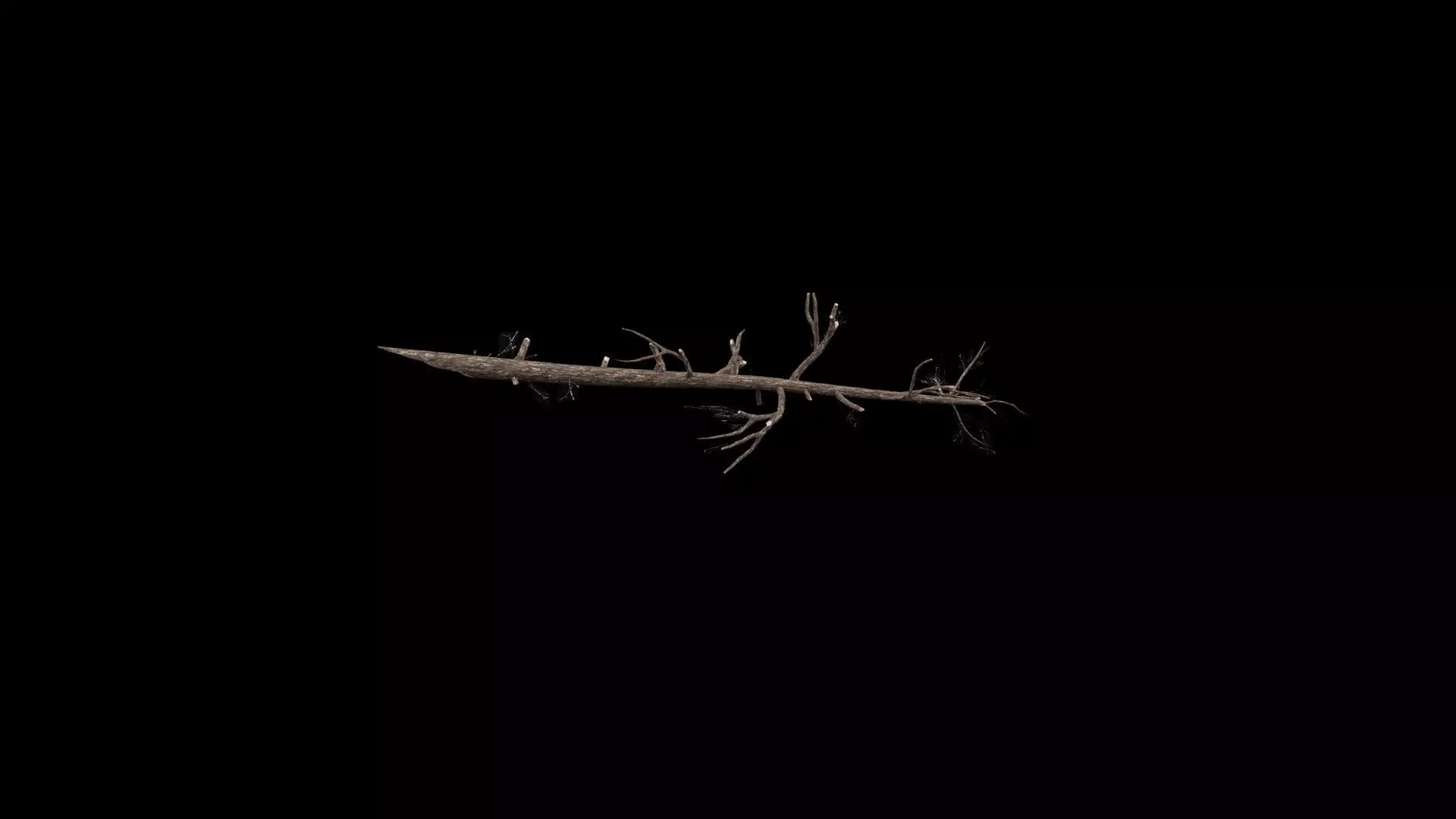 Realistic Tree Branch Low-poly 3D model_3