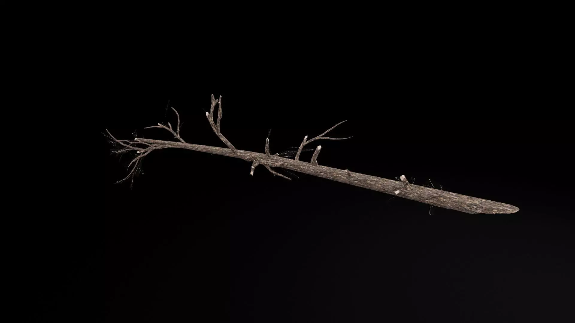 Realistic Tree Branch Low-poly 3D model_7