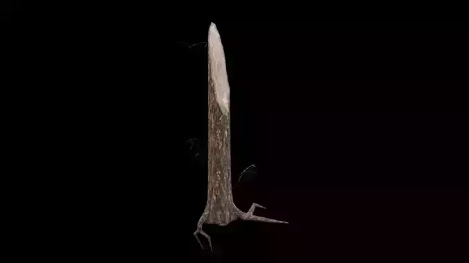 Realistic Snag Tree Low-poly 3D model
