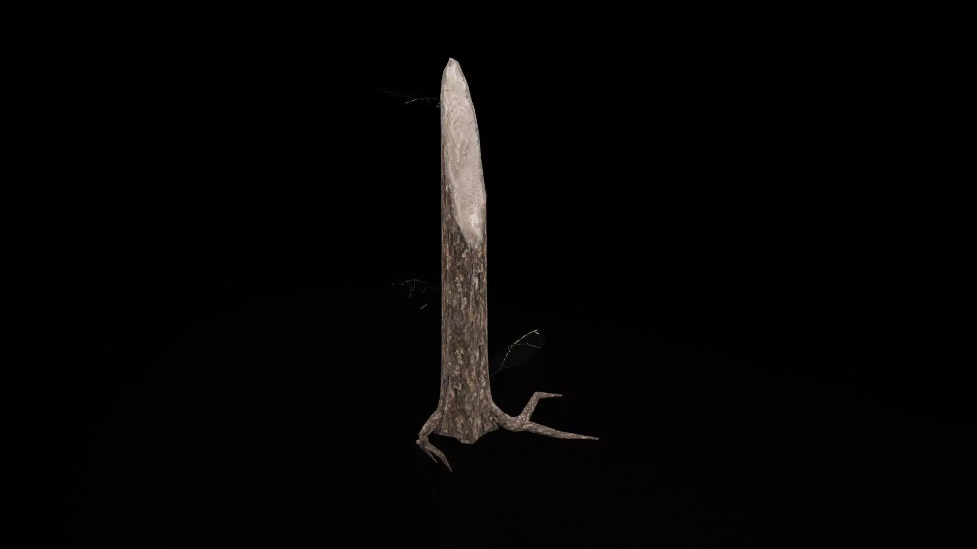 Realistic Snag Tree Low-poly 3D model_6