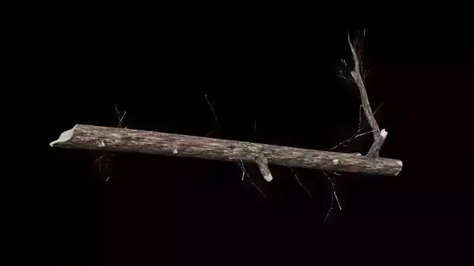 Realistic Snag Branch Low-poly 3D model