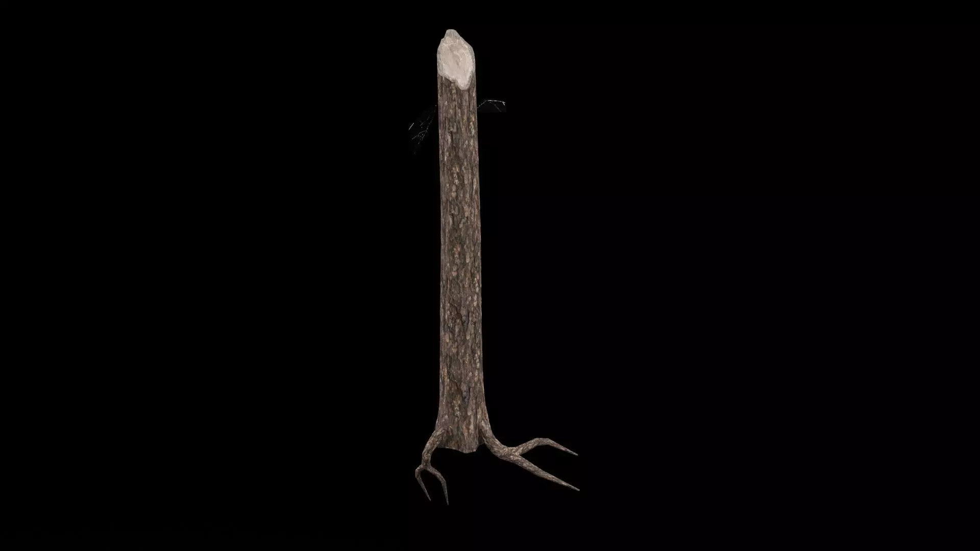 Realistic Snag Tree Low-poly 3D model_0