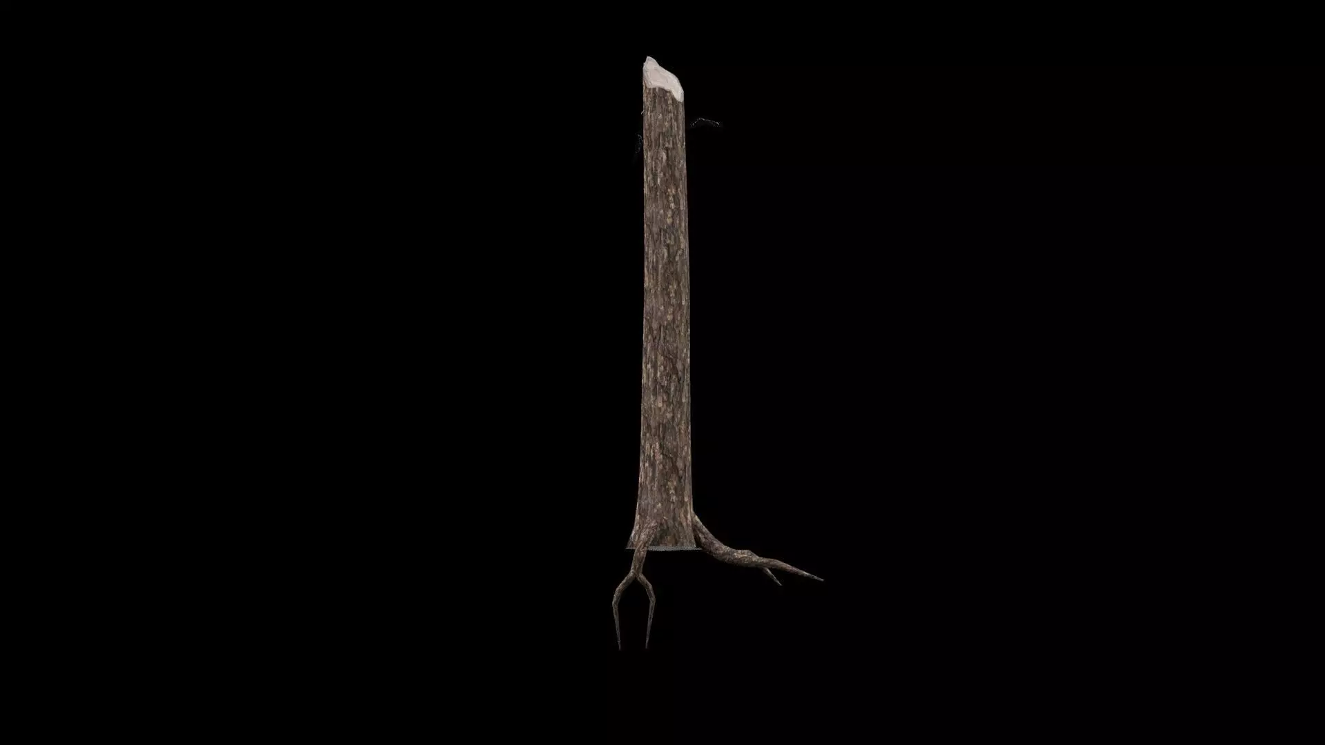 Realistic Snag Tree Low-poly 3D model_5