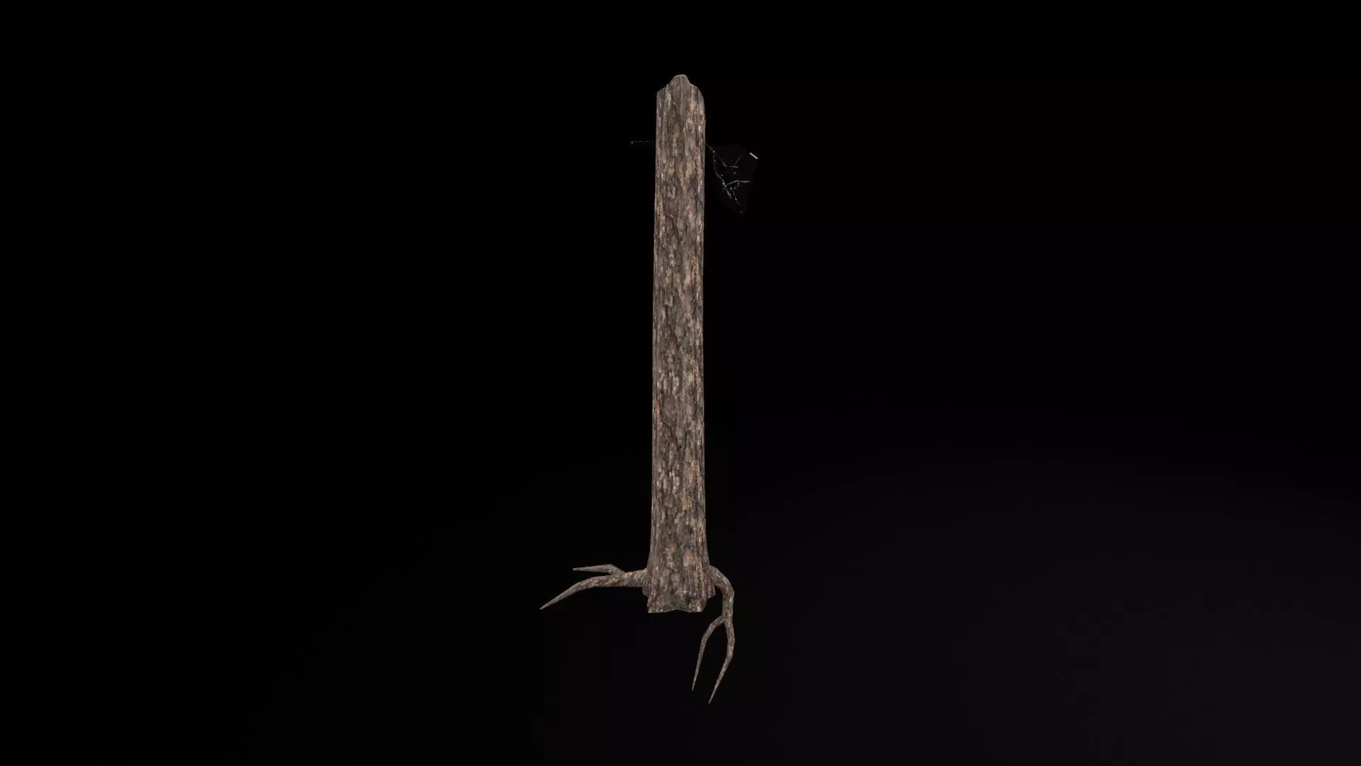 Realistic Snag Tree Low-poly 3D model_7