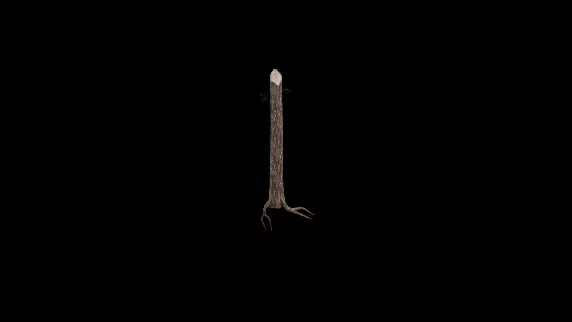 Realistic Snag Tree Low-poly 3D model_2