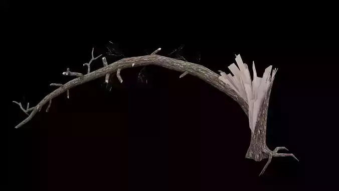 Realistic Snag Tree Low-poly 3D model