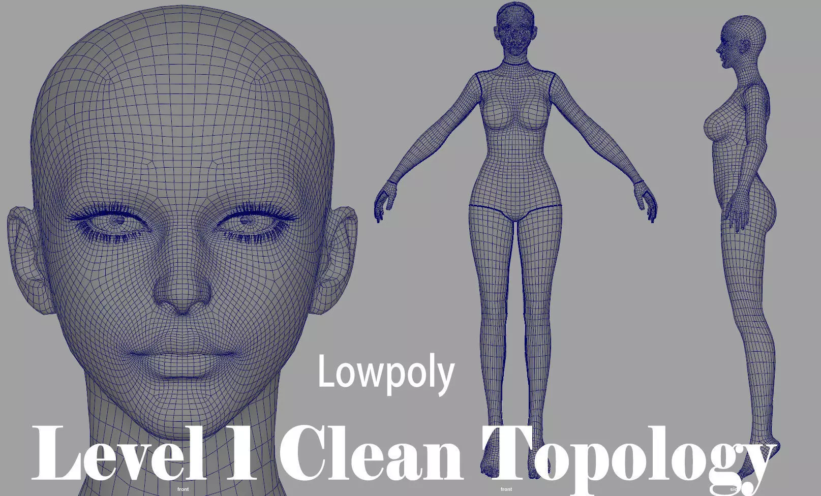 5 Fine-Looking Beautiful Female basemesh Low-poly 3D model_15
