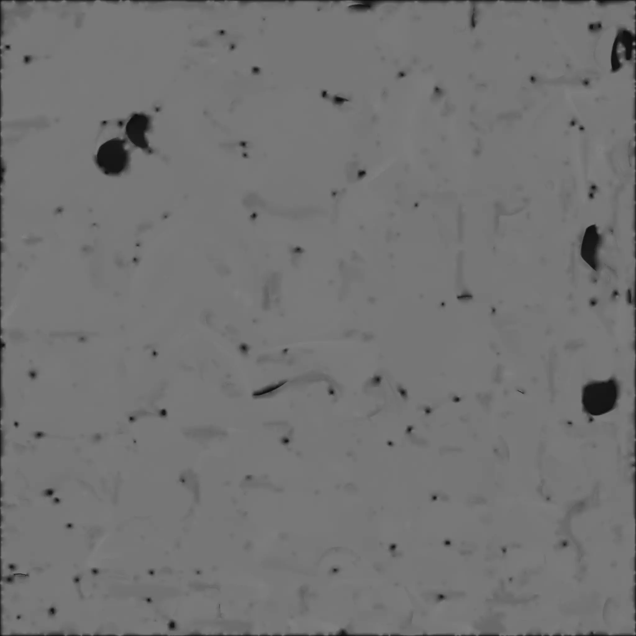 Stylized Ginger Tabby Cat - Cute Character 3D Model Low-poly 3D model_4