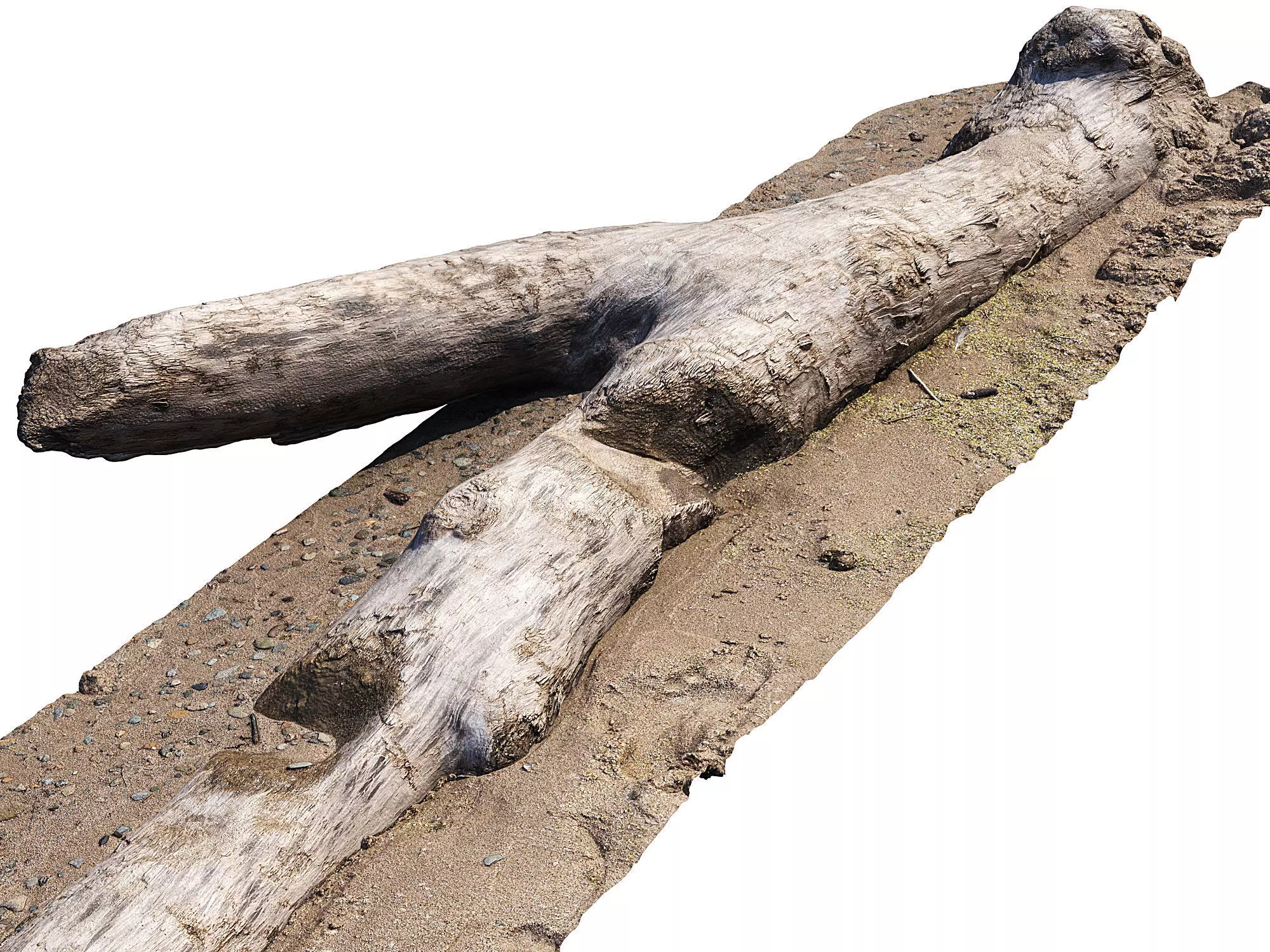 Log on the sand 3D model_2