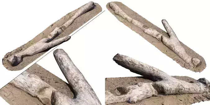 Log on the sand  3D model
