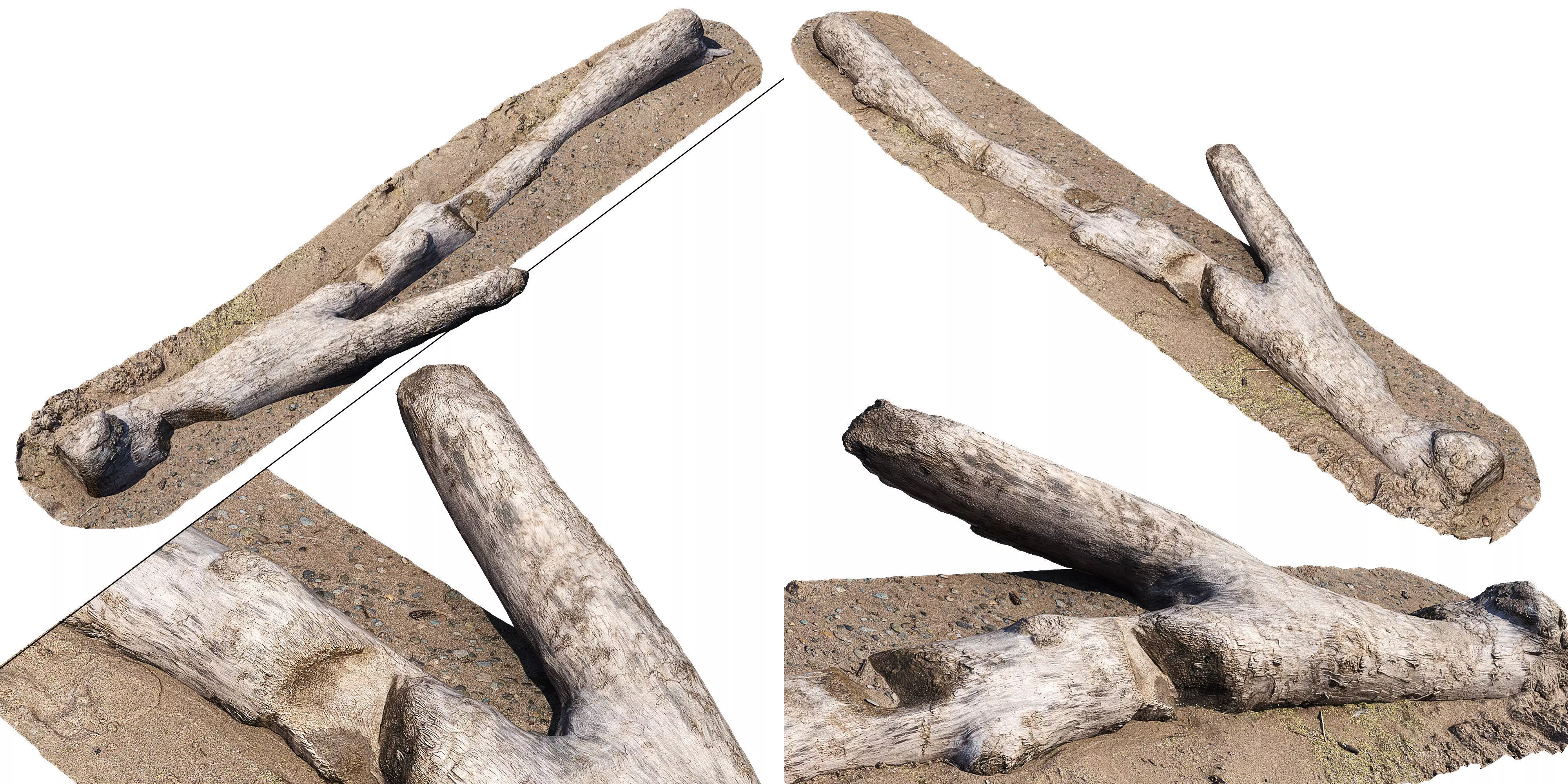 Log on the sand 3D model_0