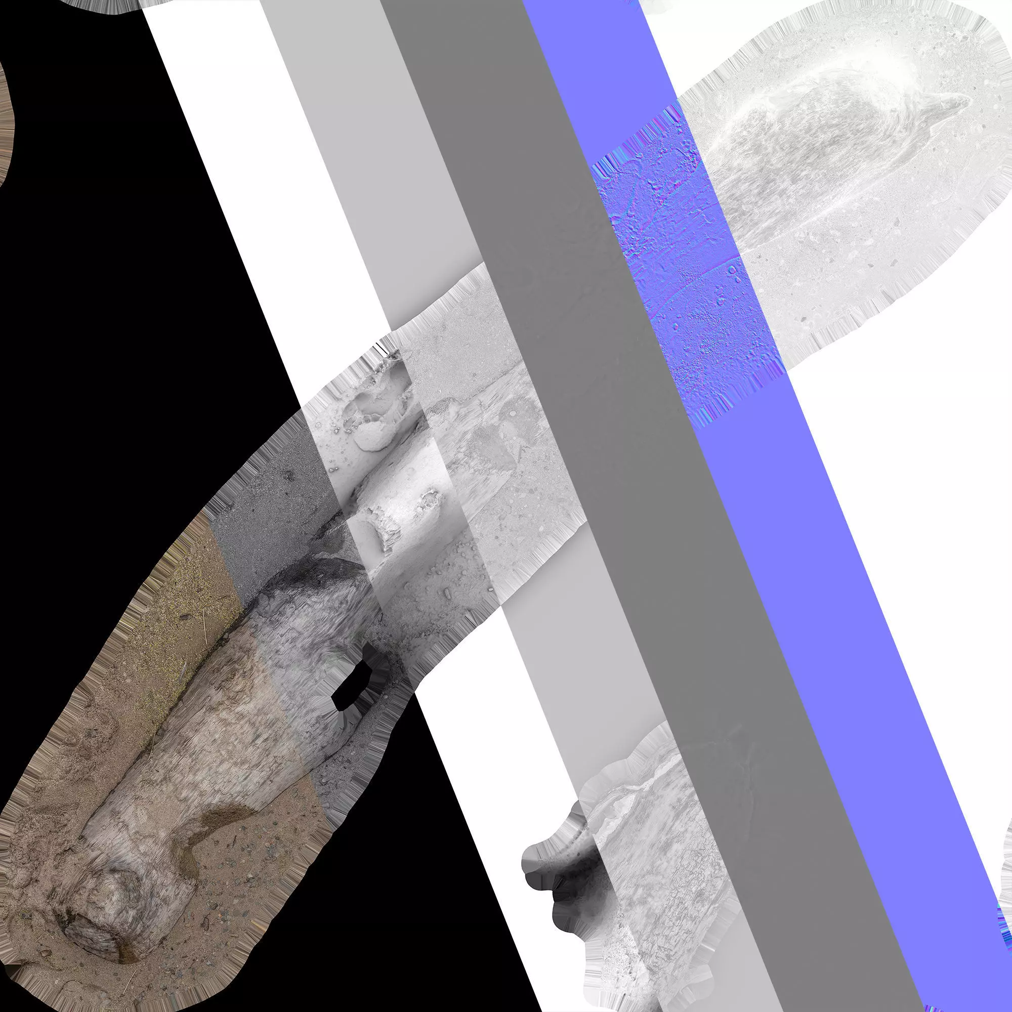 Log on the sand 3D model_11