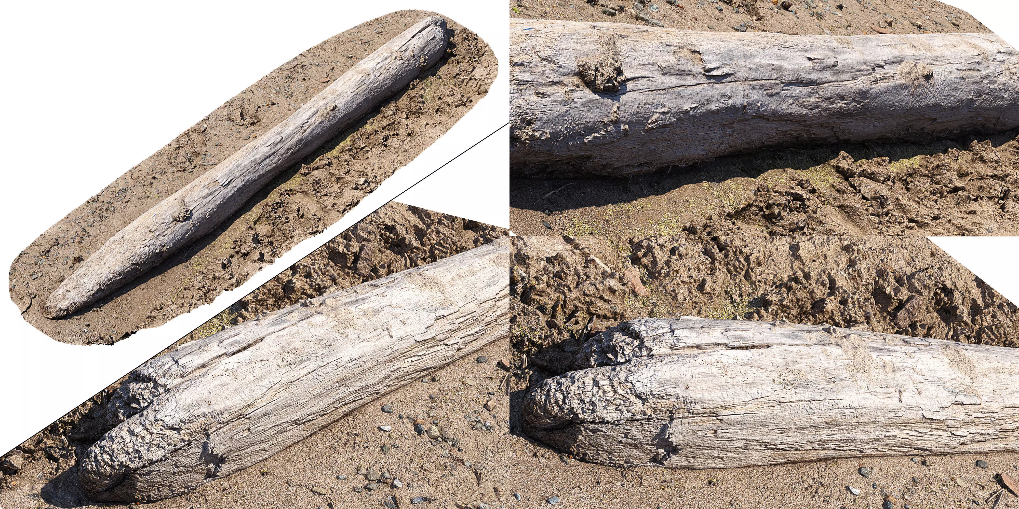 Log on the sand 3D model_1