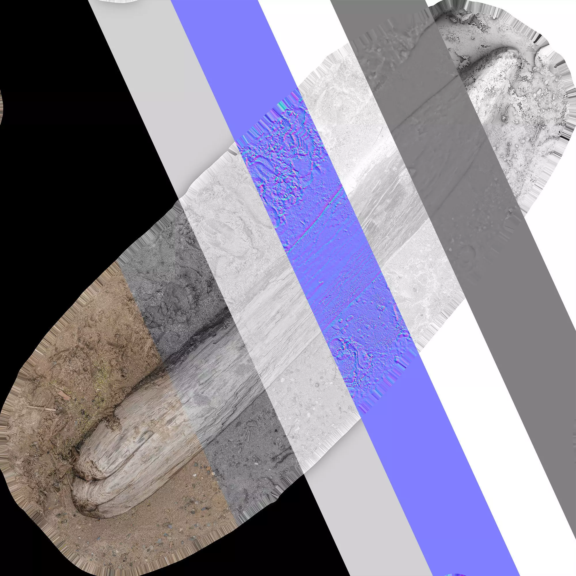 Log on the sand 3D model_12