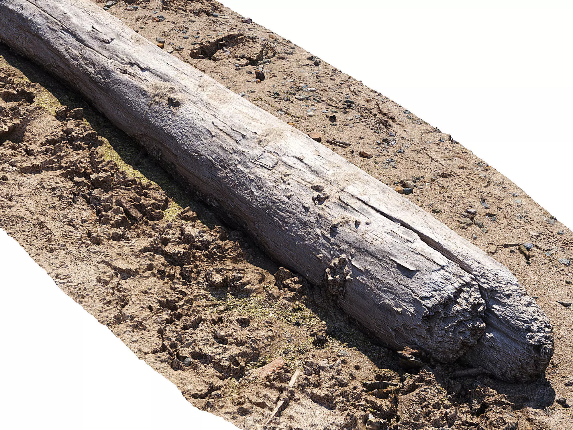 Log on the sand 3D model_6