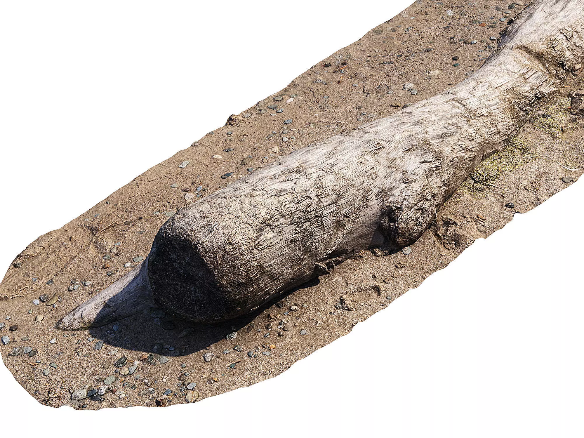 Log on the sand 3D model_5