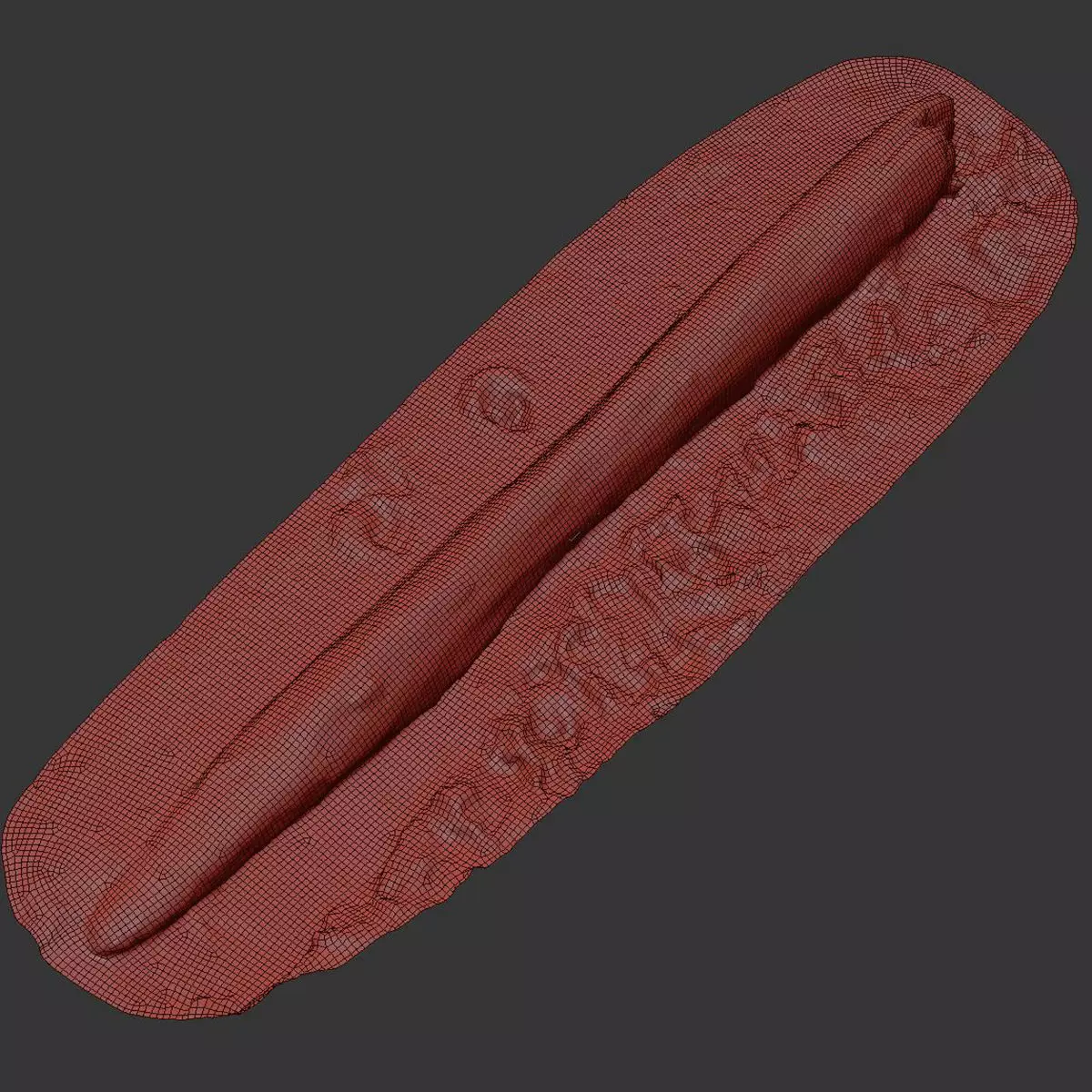 Log on the sand 3D model_9