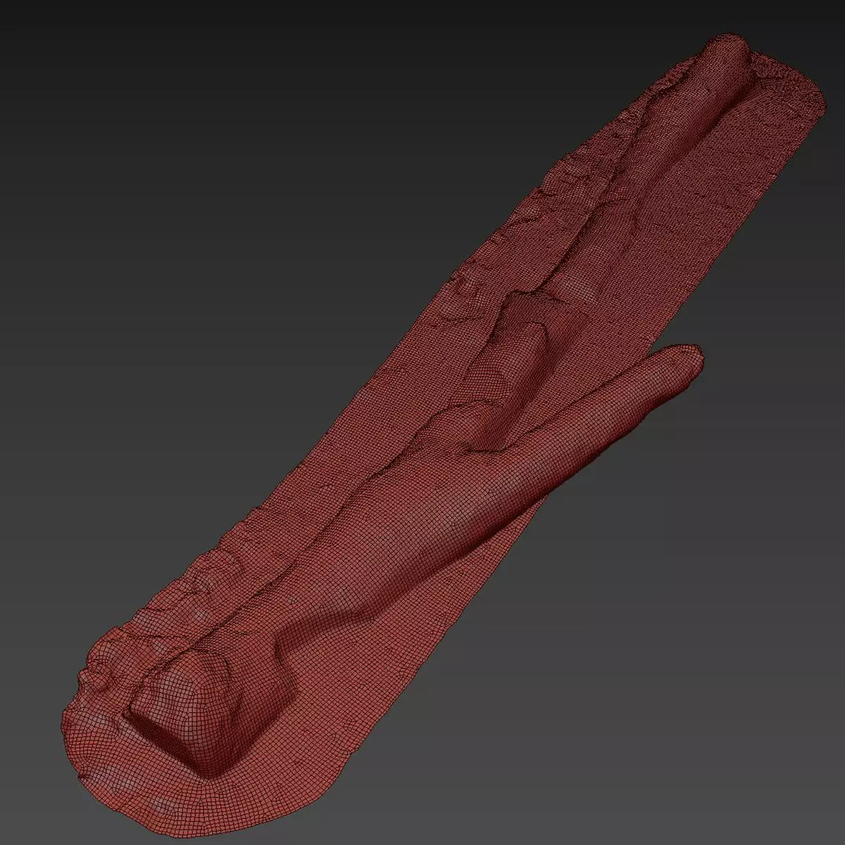 Log on the sand 3D model_10