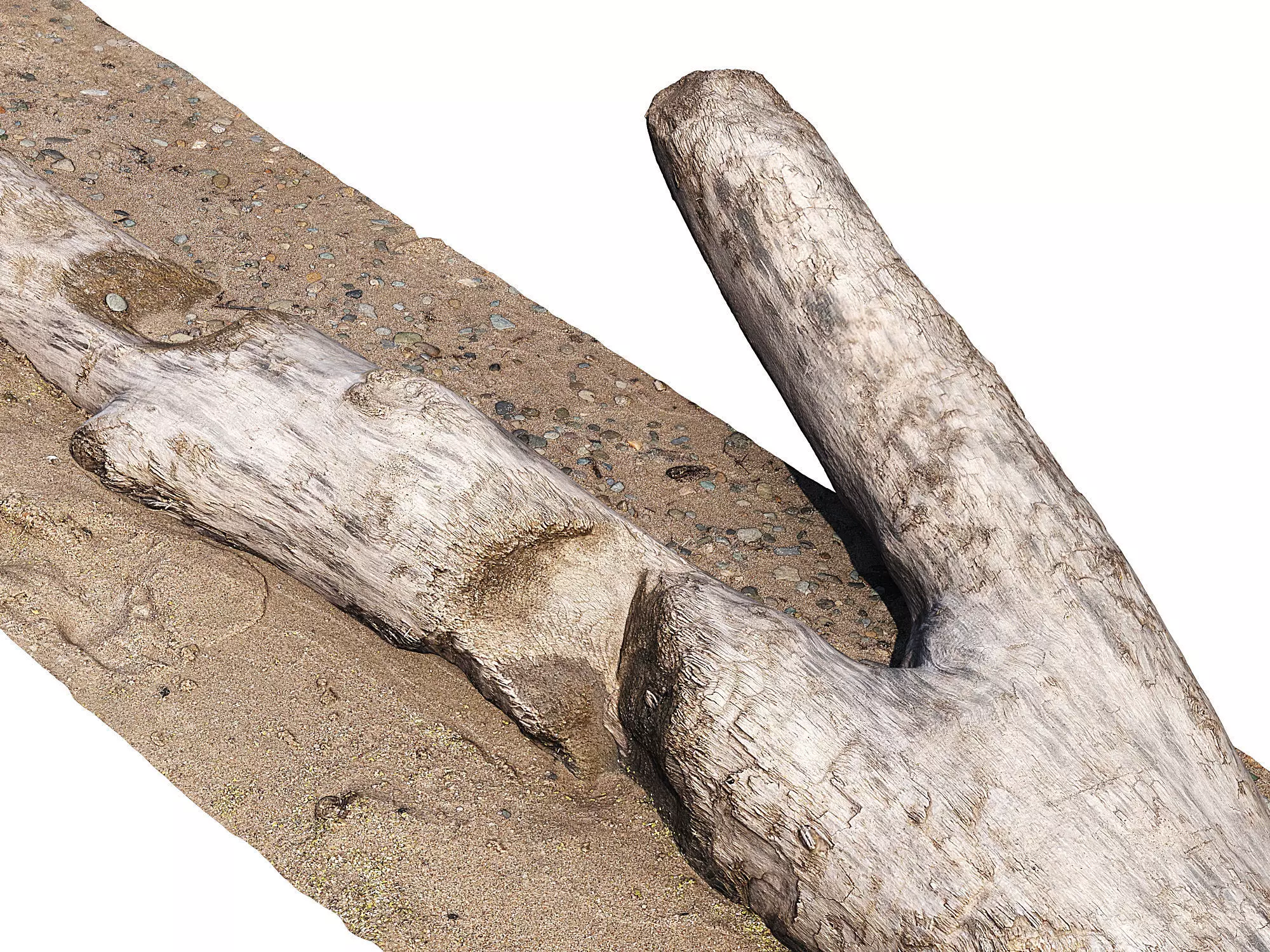 Log on the sand 3D model_4