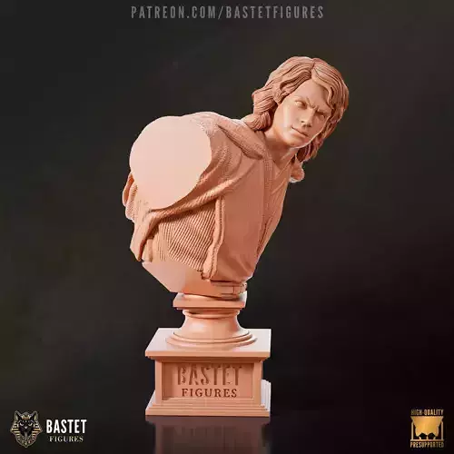 Anakin Bust I Star Wars