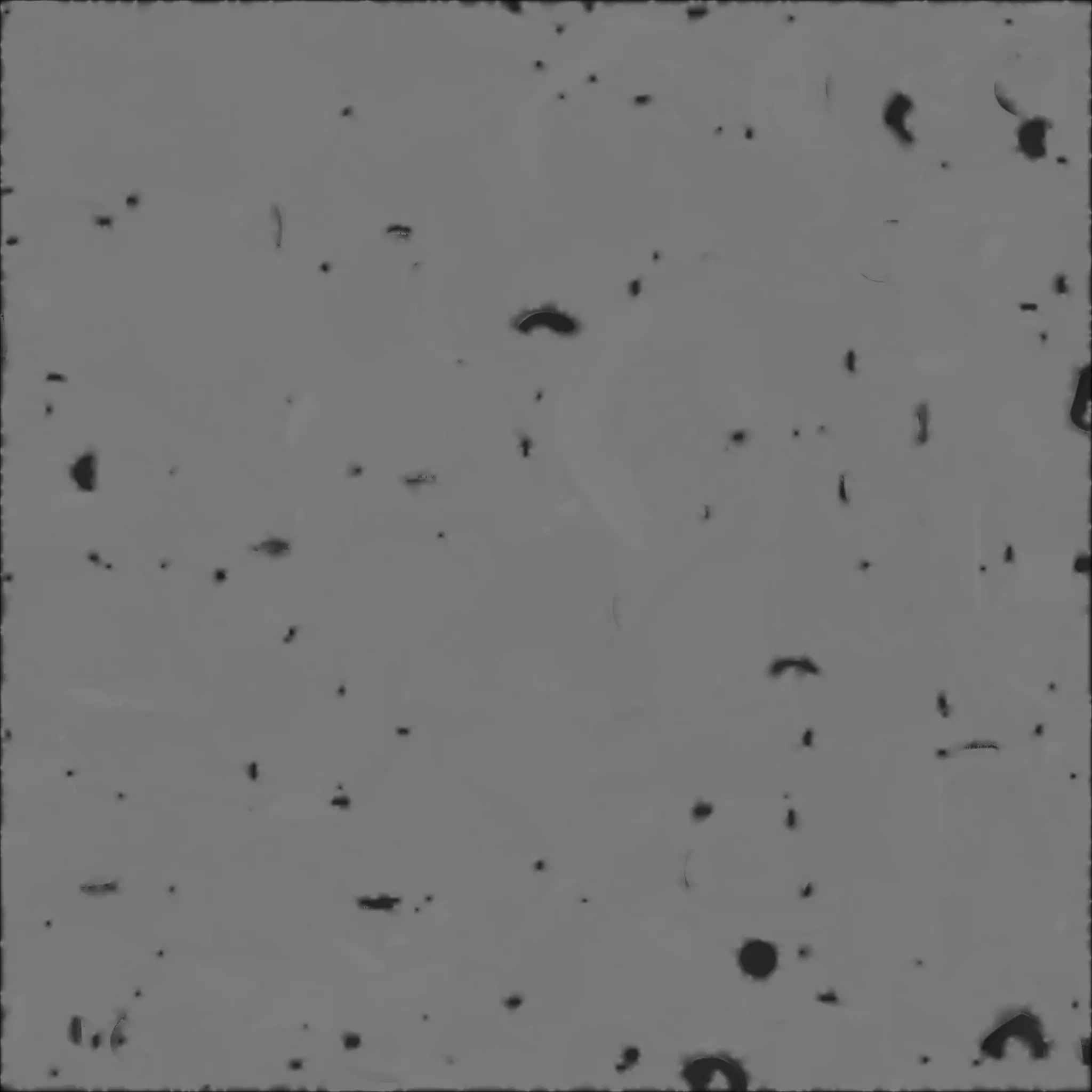 Cute Orange Tabby Cartoon Kitten 3D Model Low-poly 3D model_4