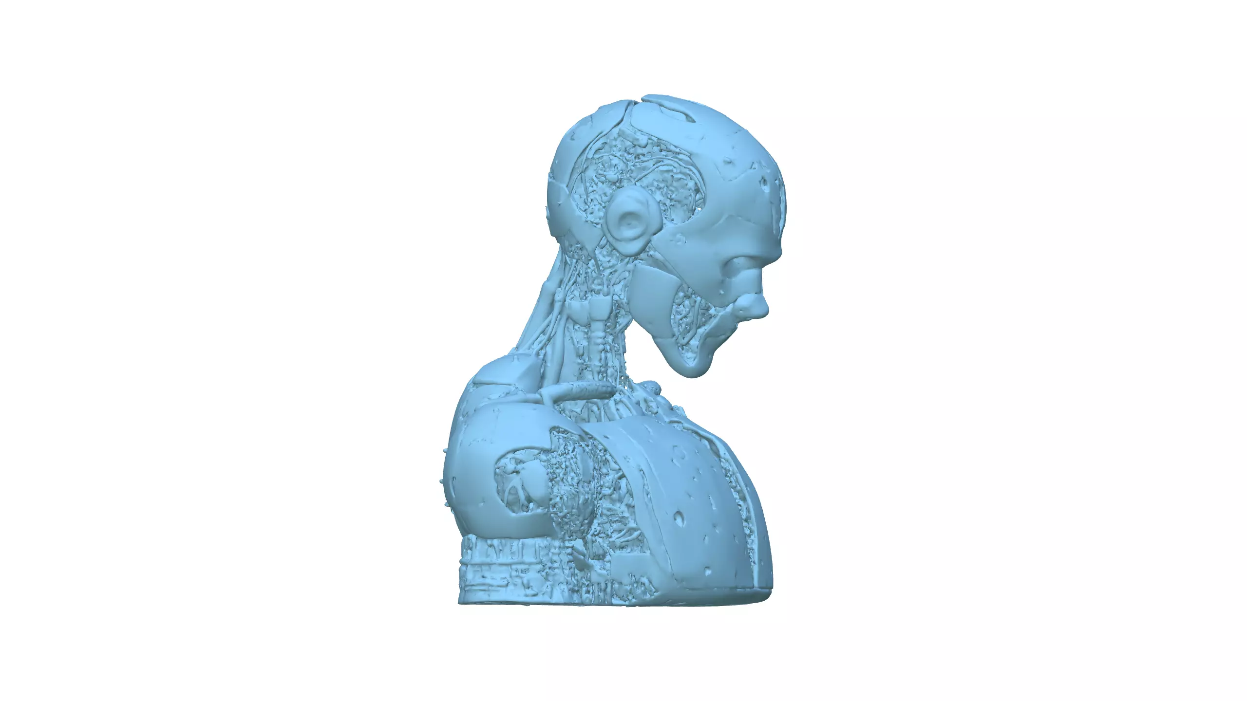 Futuristic Bionic Cyborg Android Character Design 3D model_7