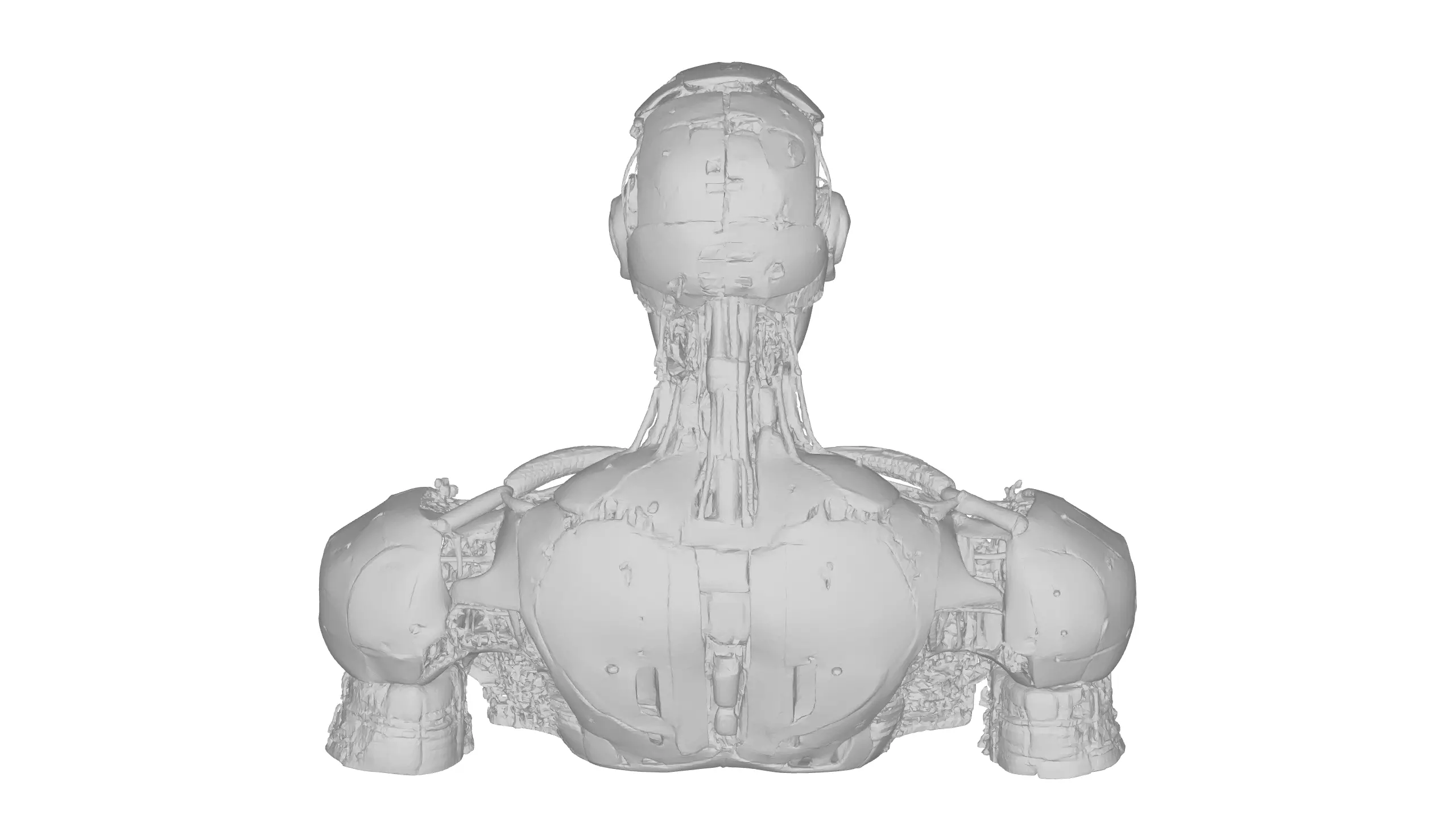 Futuristic Bionic Cyborg Android Character Design 3D model_4