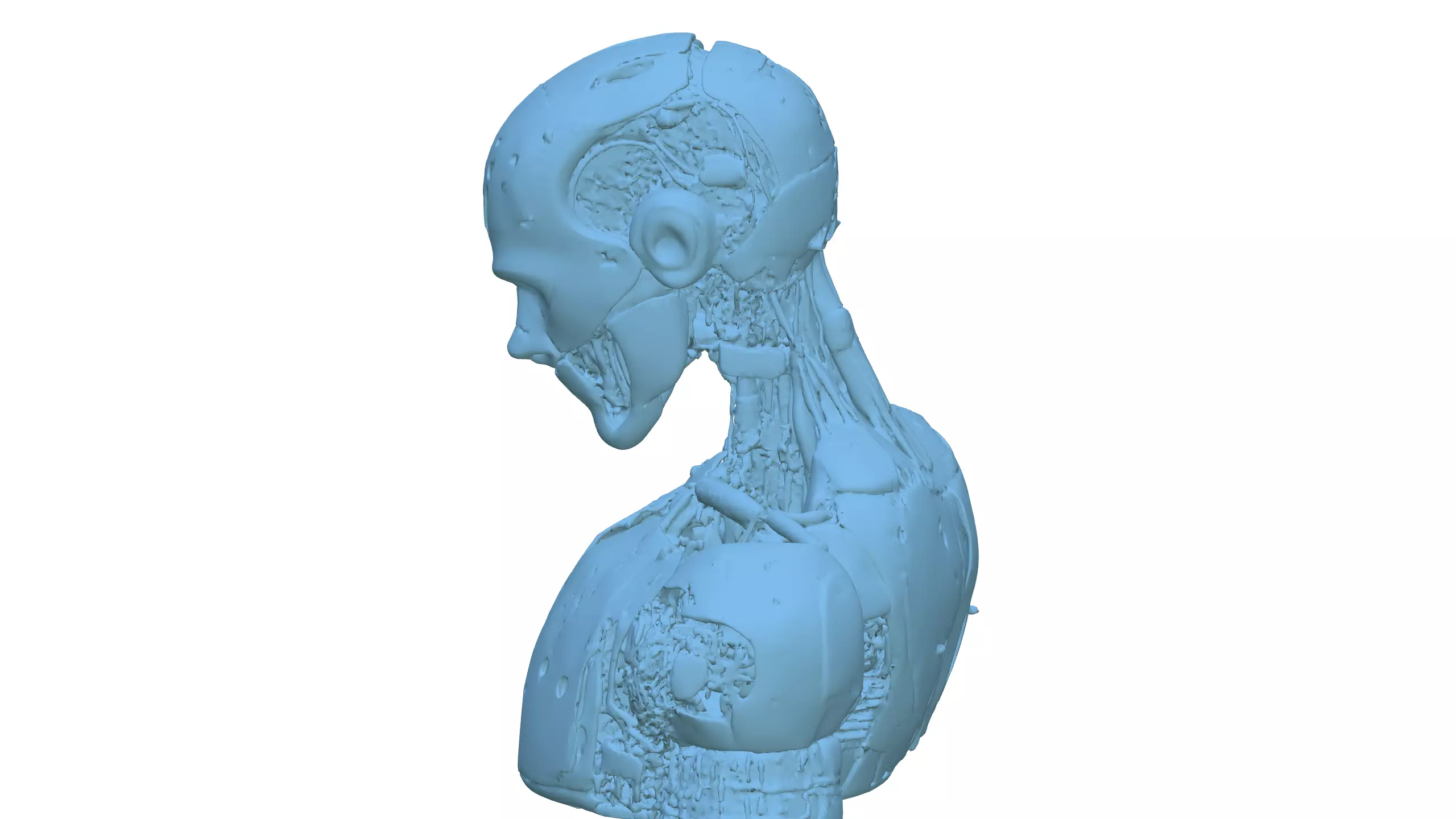 Futuristic Bionic Cyborg Android Character Design 3D model_5