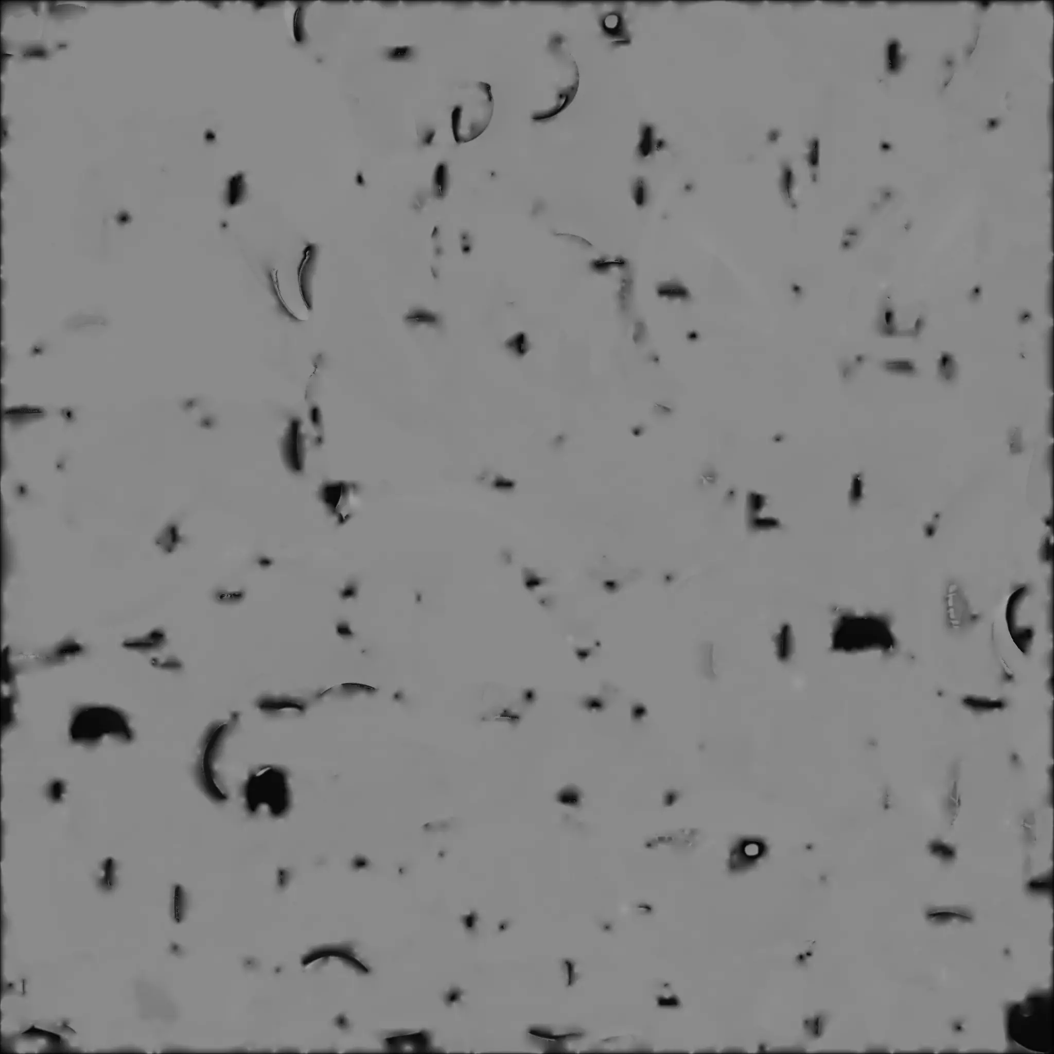 Cute Orange Tabby Cartoon Kitten 3D Model Low-poly 3D model_4