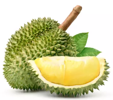Durian Delight 3D model Low-poly 3D model