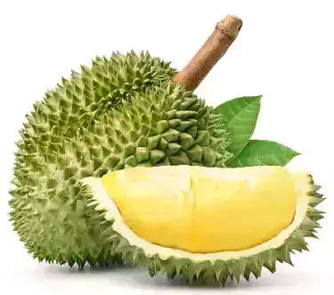 Durian Delight 3D model Low-poly 3D model
