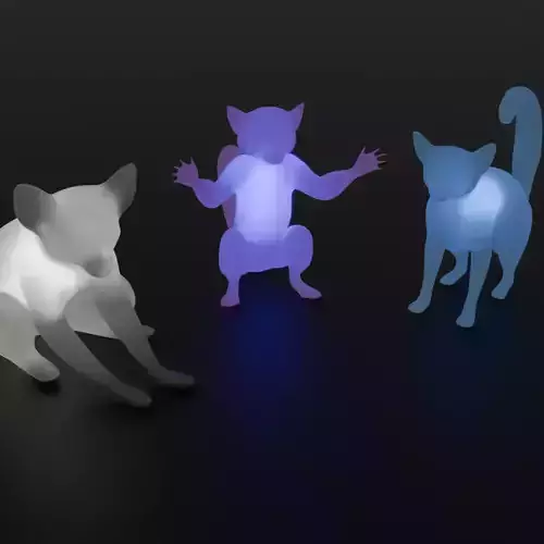 Indirect lighting for ring-tailed lemurs