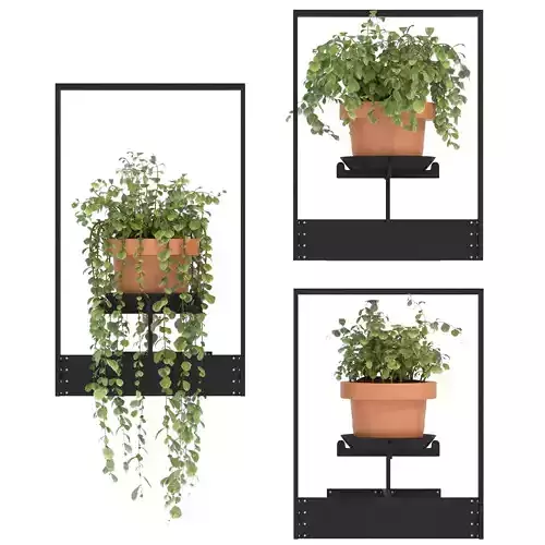Boho Hanging Plants 04