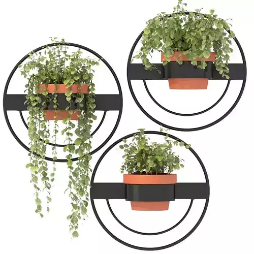 Modern Wall Planters With Geometric Designs