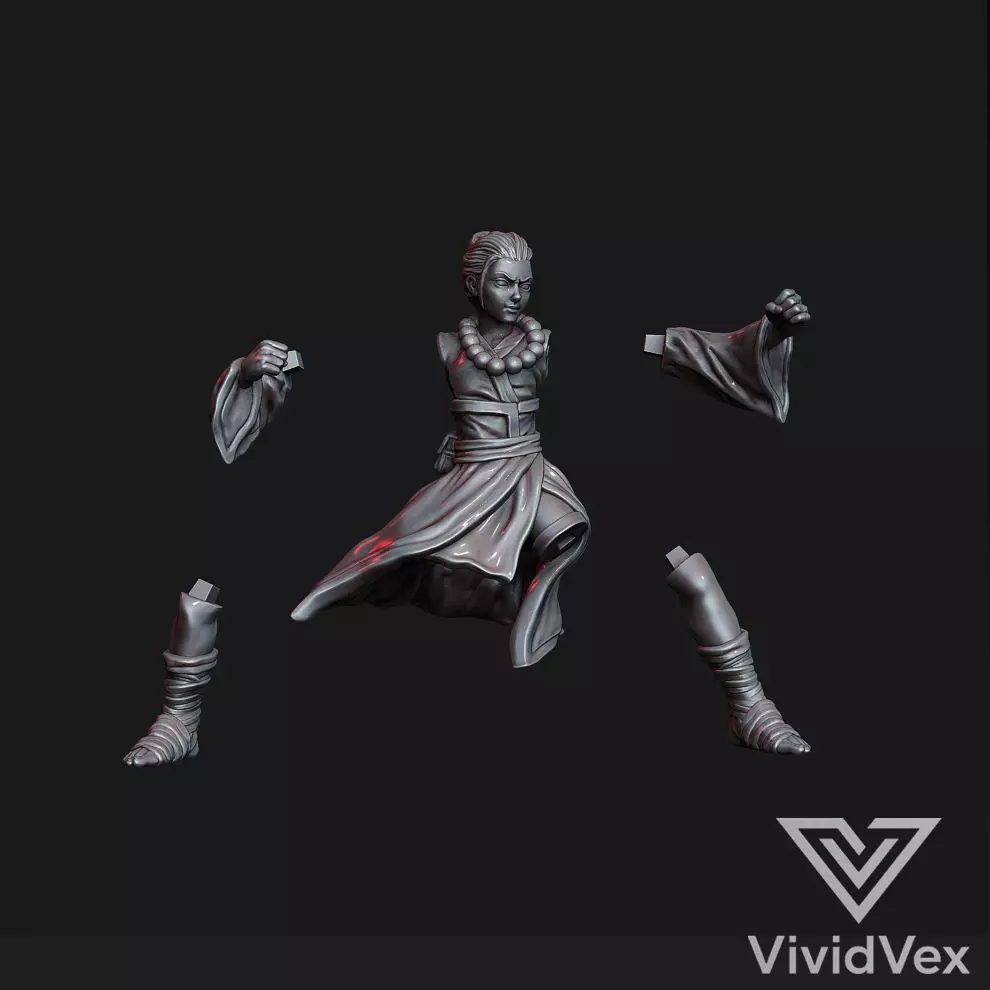 Female Monk 3D print model_1