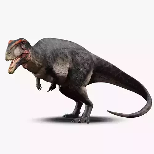Carcharodontosaurus Rig