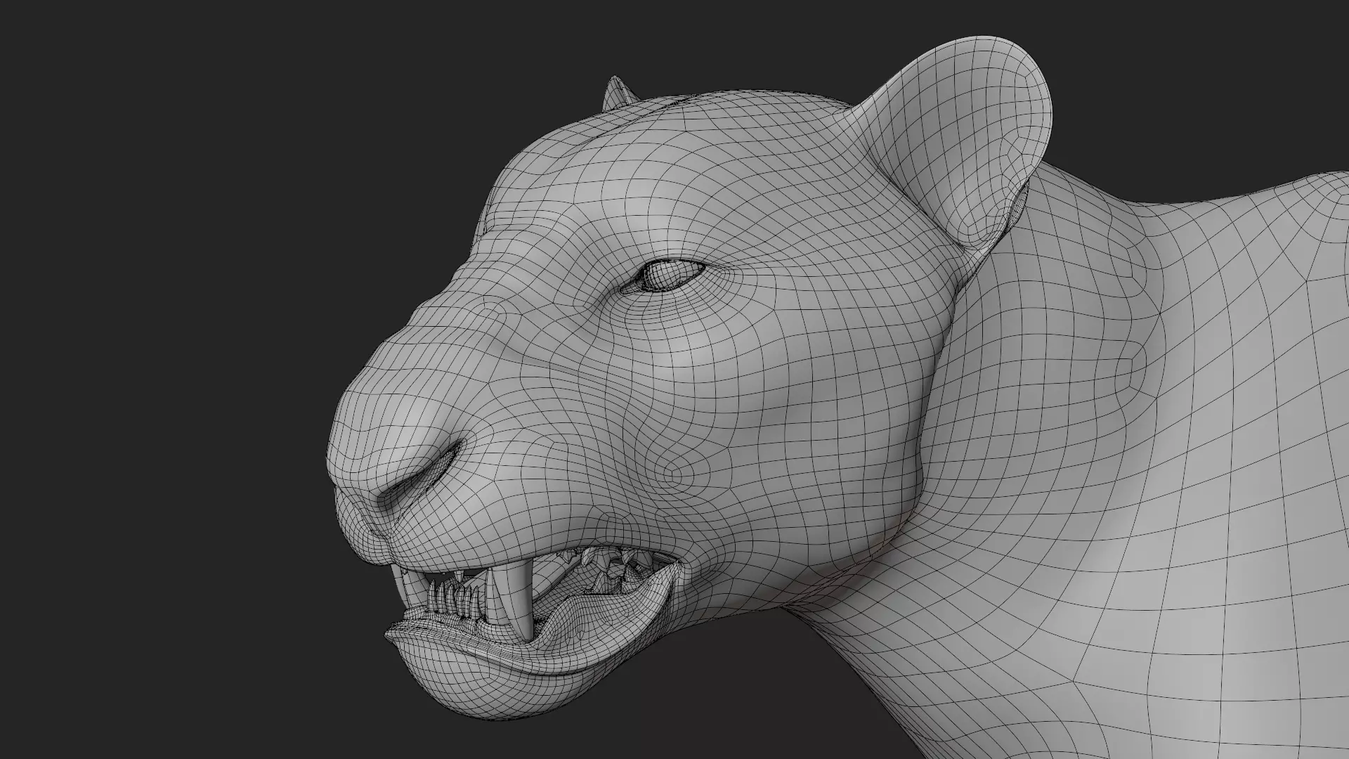 Lioness 3D model_12