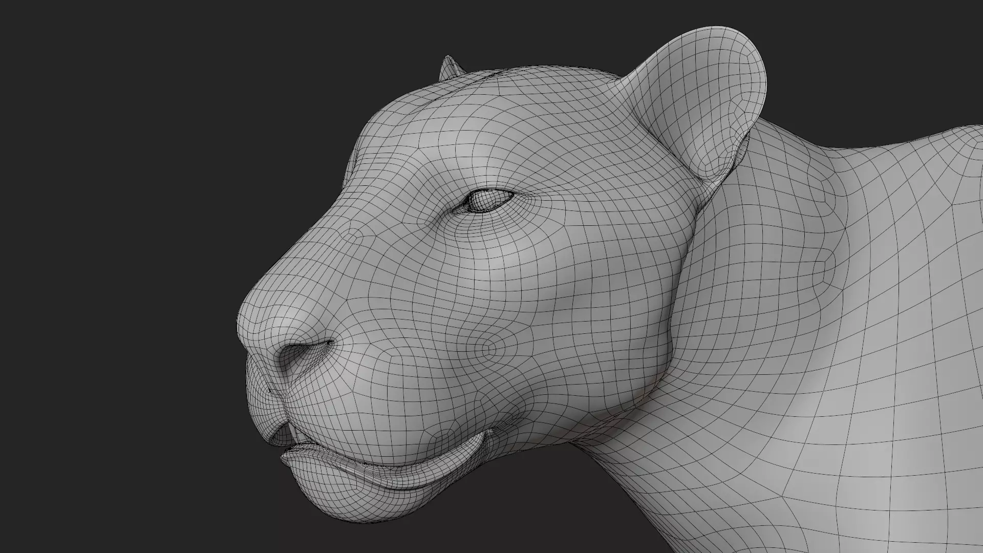 Lioness 3D model_11
