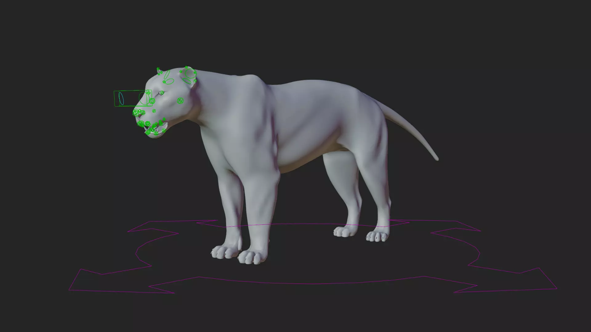 Lioness 3D model_19