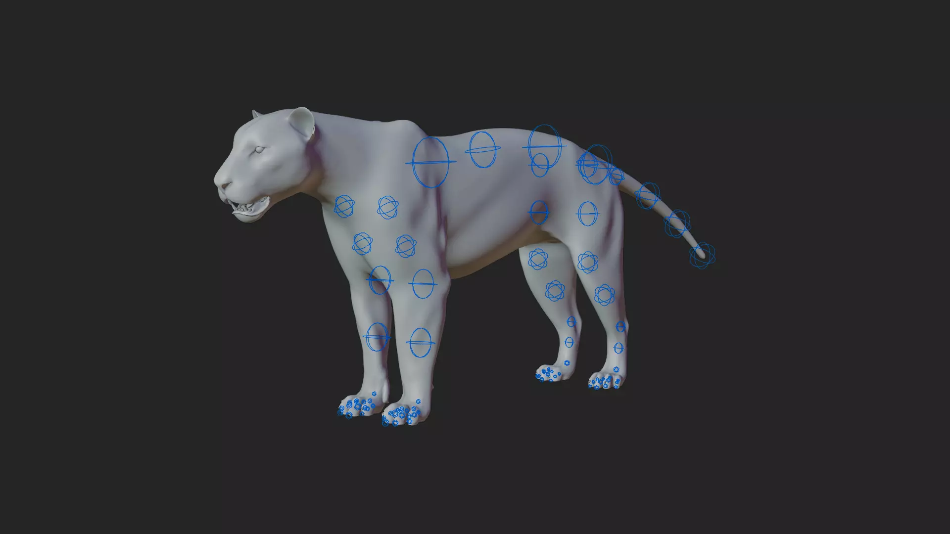 Lioness 3D model_17