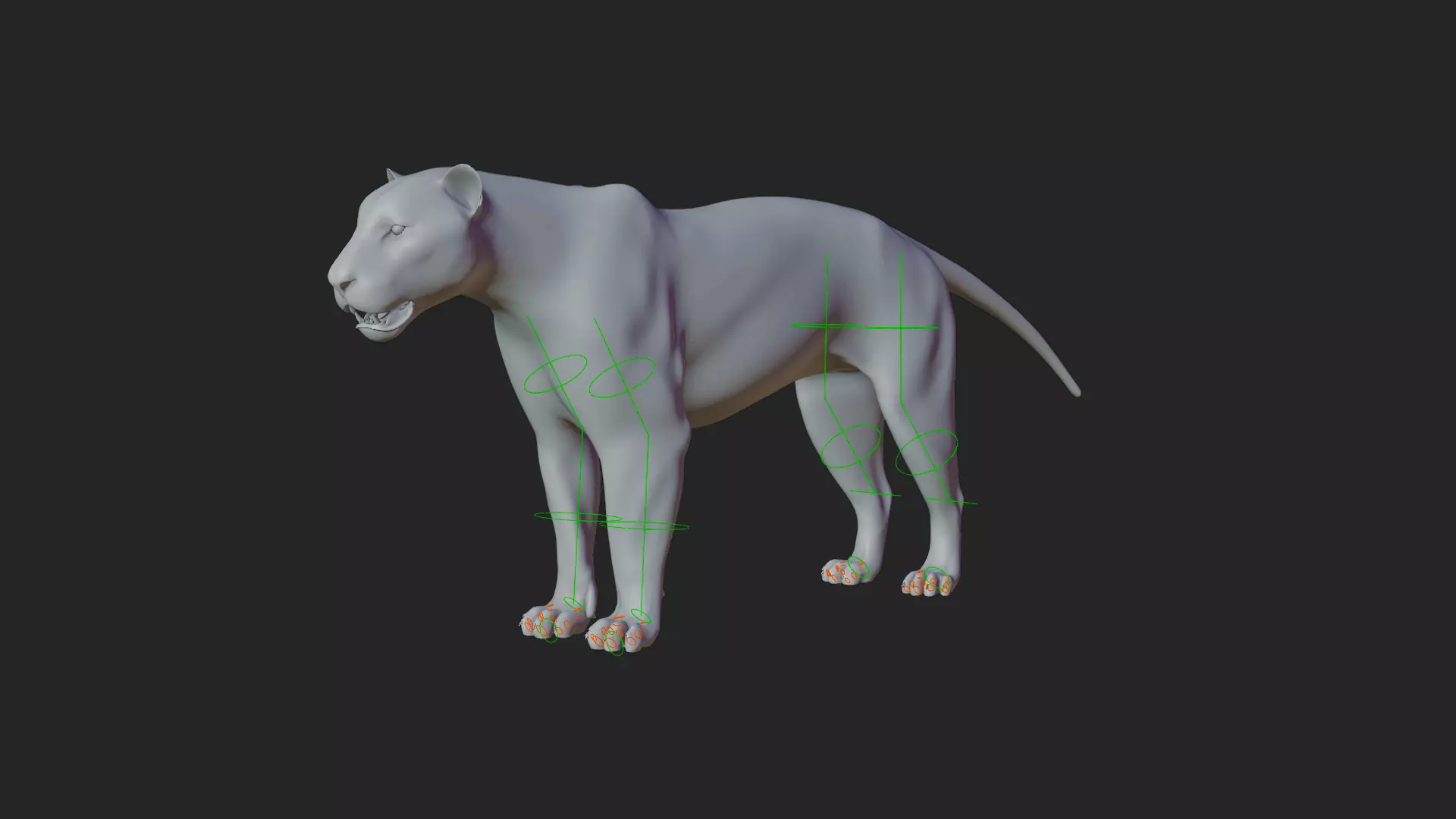 Lioness 3D model_10