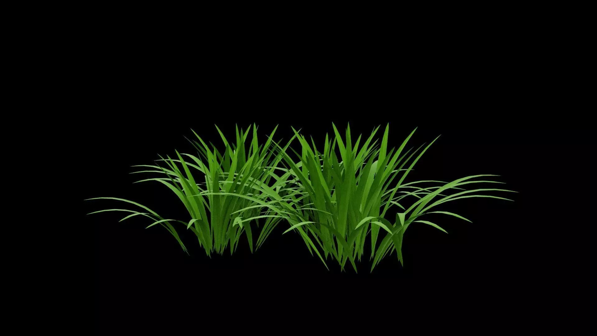Grass Patch Low-poly 3D model_4