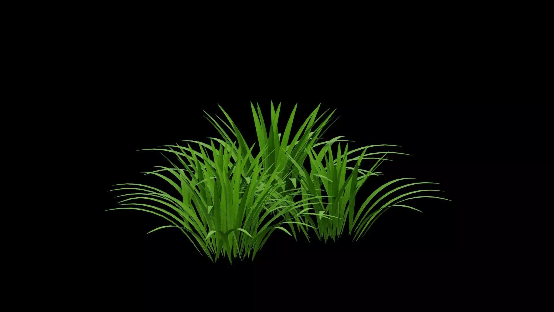 Grass Patch Low-poly 3D model_1