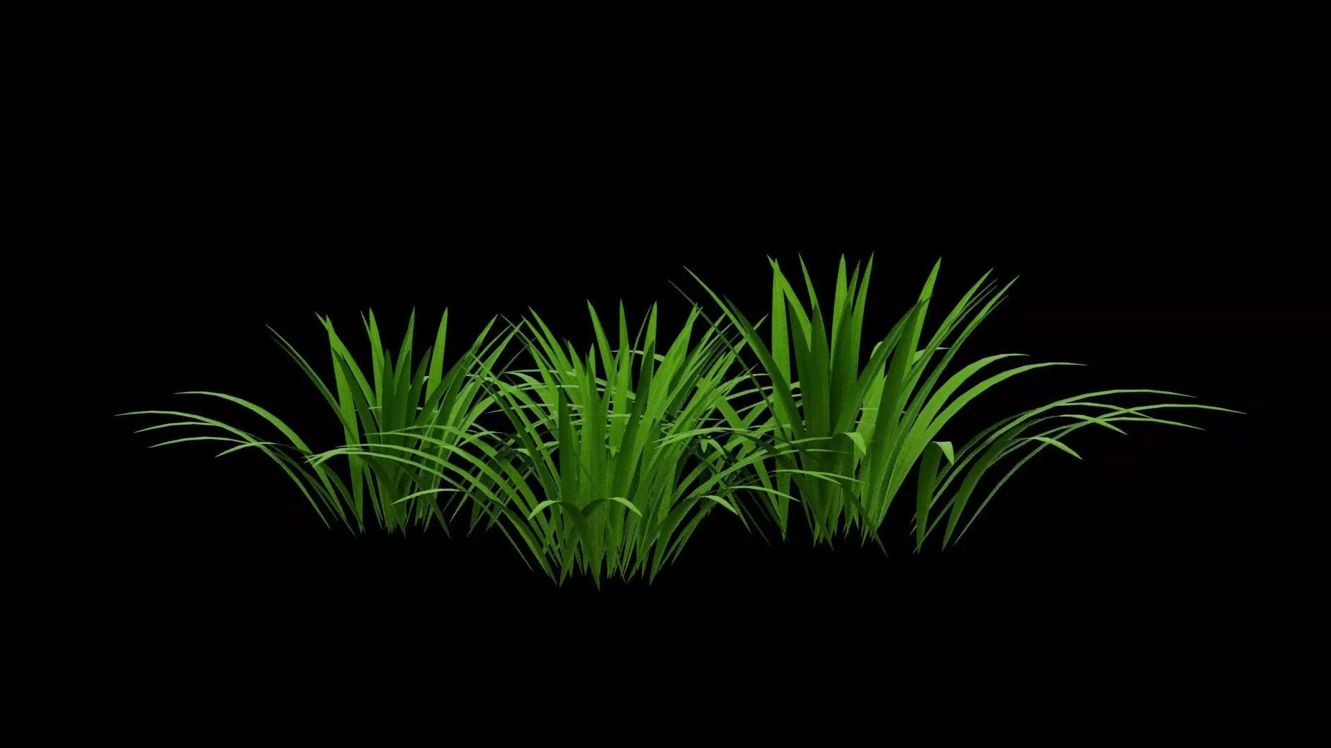 Grass Patch Low-poly 3D model_2
