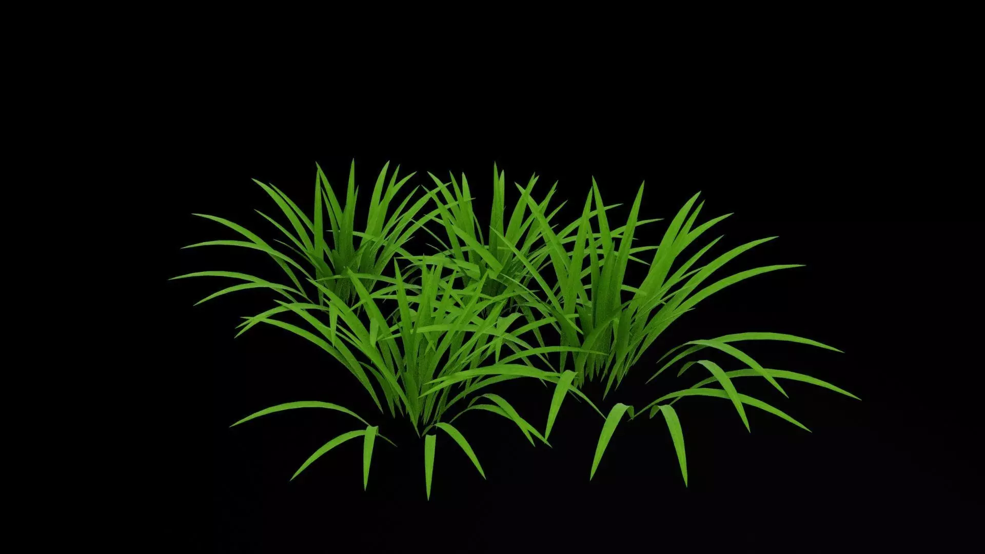 Grass Patch Low-poly 3D model_6