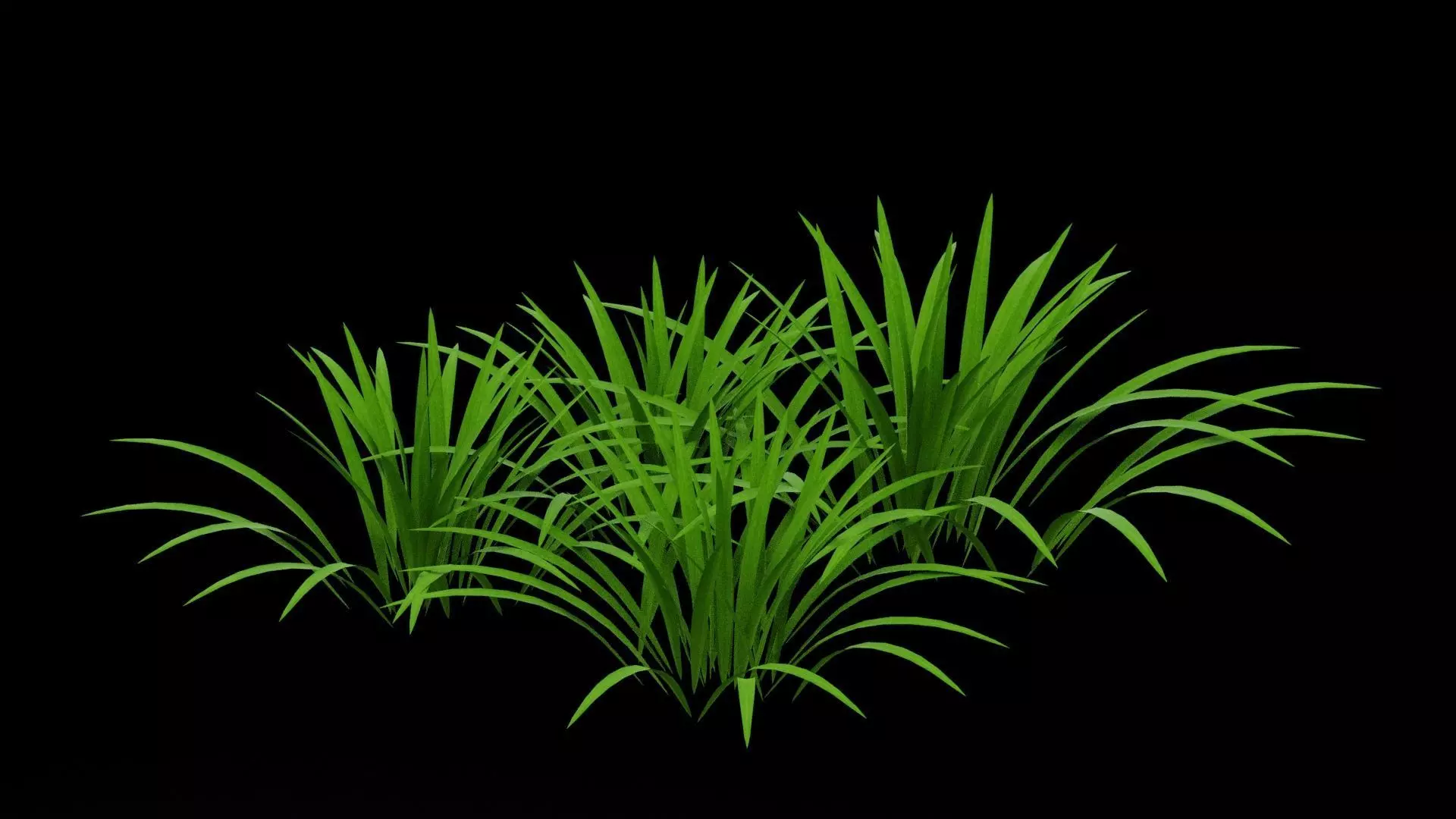 Grass Patch Low-poly 3D model_0
