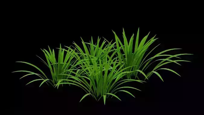 Grass Patch Low-poly 3D model