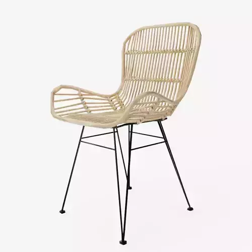 Balka Standard Rattan Dining Chair with Armrests