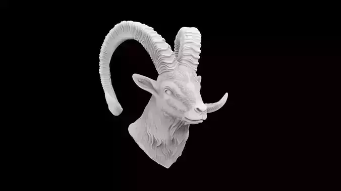 Ibex Goat Head Bust